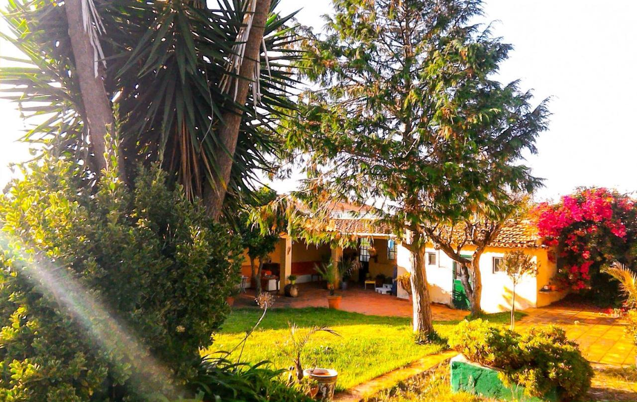 Bed and Breakfast Lugar Saloio Sintra Algueirão–Algueirão–Mem Martins Esterno foto